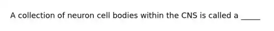 A collection of neuron cell bodies within the CNS is called a _____