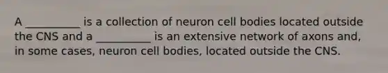 A __________ is a collection of neuron cell bodies located outside the CNS and a __________ is an extensive network of axons and, in some cases, neuron cell bodies, located outside the CNS.