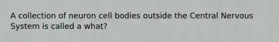 A collection of neuron cell bodies outside the Central Nervous System is called a what?