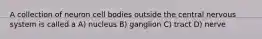 A collection of neuron cell bodies outside the central nervous system is called a A) nucleus B) ganglion C) tract D) nerve