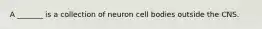 A _______ is a collection of neuron cell bodies outside the CNS.