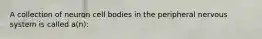 A collection of neuron cell bodies in the peripheral nervous system is called a(n):