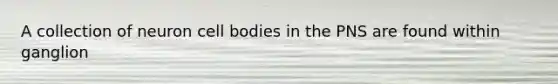 A collection of neuron cell bodies in the PNS are found within ganglion