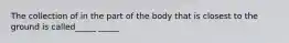 The collection of in the part of the body that is closest to the ground is called_____ _____