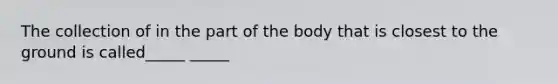 The collection of in the part of the body that is closest to the ground is called_____ _____