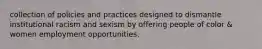 collection of policies and practices designed to dismantle institutional racism and sexism by offering people of color & women employment opportunities.