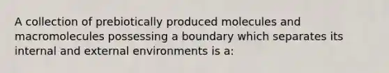 A collection of prebiotically produced molecules and macromolecules possessing a boundary which separates its internal and external environments is a: