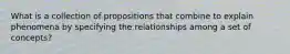 What is a collection of propositions that combine to explain phenomena by specifying the relationships among a set of concepts?