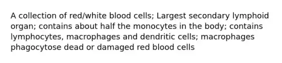 A collection of red/white blood cells; Largest secondary lymphoid organ; contains about half the monocytes in the body; contains lymphocytes, macrophages and dendritic cells; macrophages phagocytose dead or damaged red blood cells