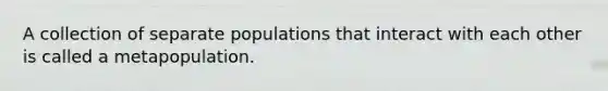 A collection of separate populations that interact with each other is called a metapopulation.