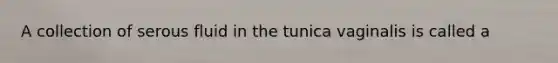 A collection of serous fluid in the tunica vaginalis is called a