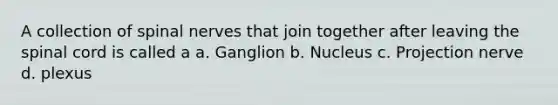 A collection of spinal nerves that join together after leaving the spinal cord is called a a. Ganglion b. Nucleus c. Projection nerve d. plexus