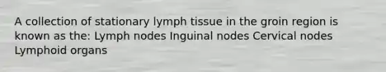 A collection of stationary lymph tissue in the groin region is known as the: Lymph nodes Inguinal nodes Cervical nodes Lymphoid organs