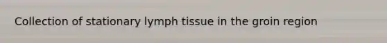 Collection of stationary lymph tissue in the groin region