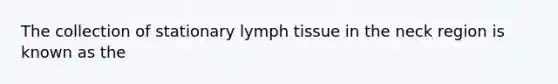 The collection of stationary lymph tissue in the neck region is known as the