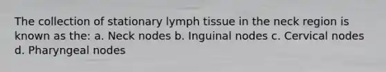 The collection of stationary lymph tissue in the neck region is known as the: a. Neck nodes b. Inguinal nodes c. Cervical nodes d. Pharyngeal nodes