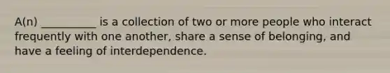 A(n) __________ is a collection of two or more people who interact frequently with one another, share a sense of belonging, and have a feeling of interdependence.