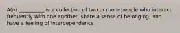 A(n) __________ is a collection of two or more people who interact frequently with one another, share a sense of belonging, and have a feeling of interdependence