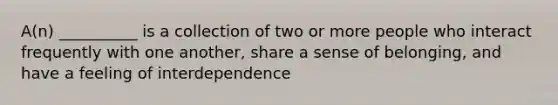 A(n) __________ is a collection of two or more people who interact frequently with one another, share a sense of belonging, and have a feeling of interdependence