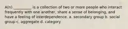 A(n) __________ is a collection of two or more people who interact frequently with one another, share a sense of belonging, and have a feeling of interdependence.​ a. ​secondary group b. ​social group c. ​aggregate d. ​category