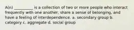 A(n) __________ is a collection of two or more people who interact frequently with one another, share a sense of belonging, and have a feeling of interdependence. a. ​secondary group b. ​category c. ​aggregate d. ​social group