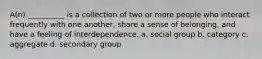 A(n) __________ is a collection of two or more people who interact frequently with one another, share a sense of belonging, and have a feeling of interdependence.​ a. ​social group b. ​category c. ​aggregate d. ​secondary group