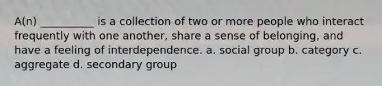 A(n) __________ is a collection of two or more people who interact frequently with one another, share a sense of belonging, and have a feeling of interdependence.​ a. ​social group b. ​category c. ​aggregate d. ​secondary group