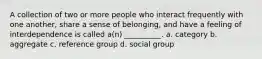 A collection of two or more people who interact frequently with one another, share a sense of belonging, and have a feeling of interdependence is called a(n) __________. a. category b. aggregate c. reference group d. social group