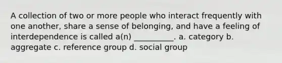 A collection of two or more people who interact frequently with one another, share a sense of belonging, and have a feeling of interdependence is called a(n) __________. a. category b. aggregate c. reference group d. social group