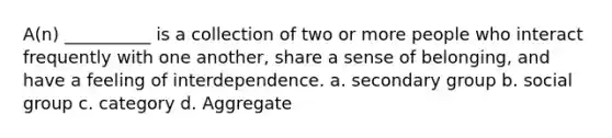 A(n) __________ is a collection of two or more people who interact frequently with one another, share a sense of belonging, and have a feeling of interdependence. a. secondary group b. social group c. category d. Aggregate