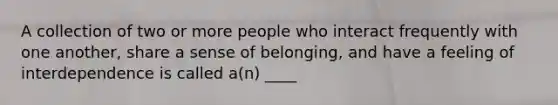 A collection of two or more people who interact frequently with one another, share a sense of belonging, and have a feeling of interdependence is called a(n) ____