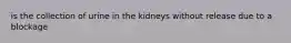 is the collection of urine in the kidneys without release due to a blockage