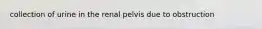 collection of urine in the renal pelvis due to obstruction