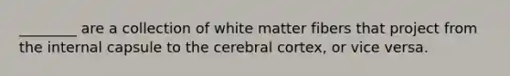 ________ are a collection of white matter fibers that project from the internal capsule to the cerebral cortex, or vice versa.