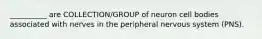 __________ are COLLECTION/GROUP of neuron cell bodies associated with nerves in the peripheral nervous system (PNS).