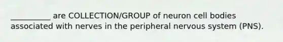 __________ are COLLECTION/GROUP of neuron cell bodies associated with nerves in the peripheral nervous system (PNS).
