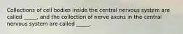 Collections of cell bodies inside the central nervous system are called _____, and the collection of nerve axons in the central nervous system are called _____.