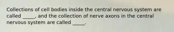 Collections of cell bodies inside the central nervous system are called _____, and the collection of nerve axons in the central nervous system are called _____.