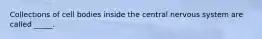 Collections of cell bodies inside the central nervous system are called _____.