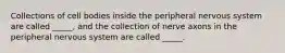 Collections of cell bodies inside the peripheral nervous system are called _____, and the collection of nerve axons in the peripheral nervous system are called _____.