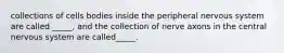 collections of cells bodies inside the peripheral nervous system are called _____, and the collection of nerve axons in the central nervous system are called_____.