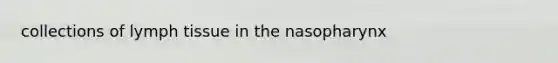 collections of lymph tissue in the nasopharynx