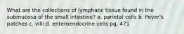 What are the collections of lymphatic tissue found in the submucosa of the small intestine? a. parietal cells b. Peyer's patches c. villi d. enteroendocrine cells pg. 471