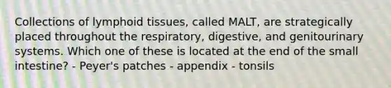 Collections of lymphoid tissues, called MALT, are strategically placed throughout the respiratory, digestive, and genitourinary systems. Which one of these is located at the end of the small intestine? - Peyer's patches - appendix - tonsils