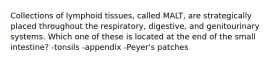 Collections of lymphoid tissues, called MALT, are strategically placed throughout the respiratory, digestive, and genitourinary systems. Which one of these is located at the end of the small intestine? -tonsils -appendix -Peyer's patches