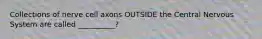 Collections of nerve cell axons OUTSIDE the Central Nervous System are called __________?