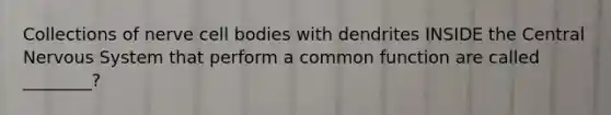 Collections of nerve cell bodies with dendrites INSIDE the Central Nervous System that perform a common function are called ________?