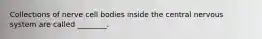 Collections of nerve cell bodies inside the central nervous system are called ________.