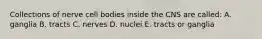 Collections of nerve cell bodies inside the CNS are called: A. ganglia B. tracts C. nerves D. nuclei E. tracts or ganglia