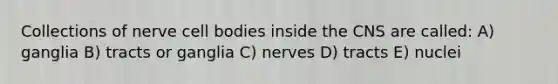 Collections of nerve cell bodies inside the CNS are called: A) ganglia B) tracts or ganglia C) nerves D) tracts E) nuclei